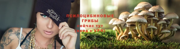 jwh Алексеевка