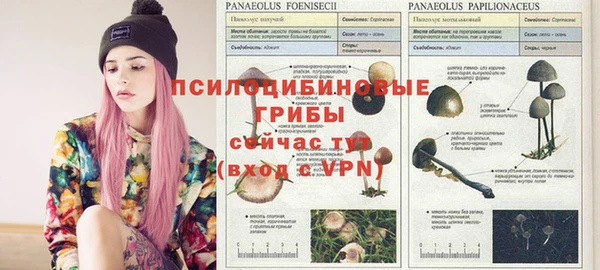 ешки Алексин